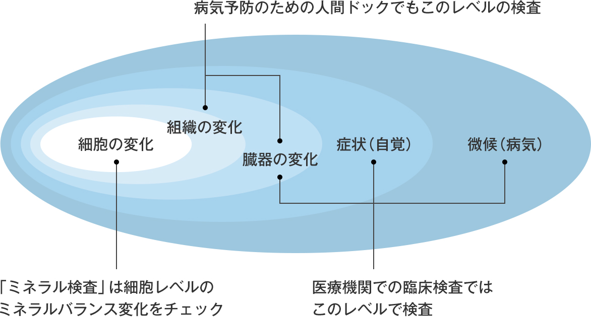 ミネラル検査 福岡市天神のaga 薄毛治療なら発毛医療のdクリニック 旧 城西クリニック福岡